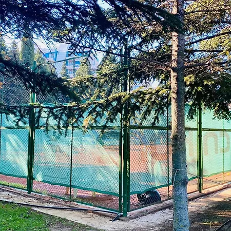 Valencia * 써니비치